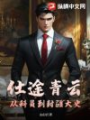 仕途青云:从科员到封疆大史